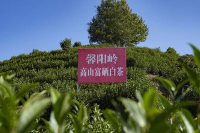 富硒農(nóng)產(chǎn)品開發(fā) 模式創(chuàng)新與市場前景