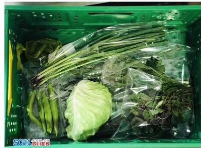 樂山啟動食用農(nóng)產(chǎn)品合格證制度試點，保障農(nóng)產(chǎn)品質(zhì)量安全