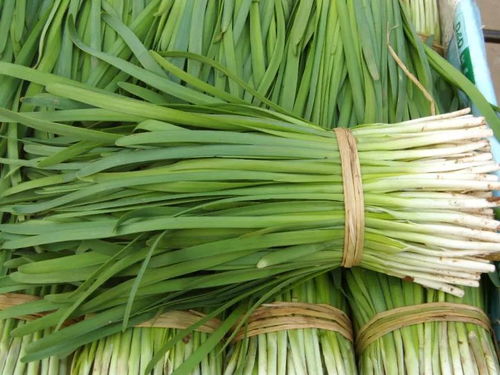 膠州人注意 韭菜買賣出新規，違規最高可罰20萬，農產品安全再升級