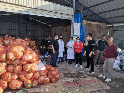 加強外援食用農產品檢測，合力抗疫——景谷農業在行動